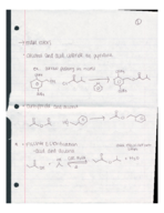 Chapter 22 reaction outline