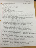 History 1310, Week 8 Notes