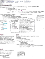 Exam 1 study guide