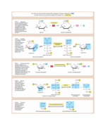 biochemistry 02 _ extra notes