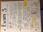 Chemistry 1 Week 9 Notes