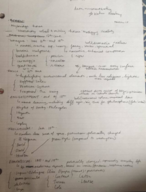 Exam 2 Review