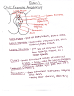study guide exam 1.pdf