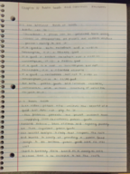 Microeconomics chapter 11 notes