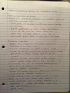 Sociology chapter 6