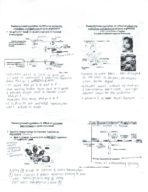 BCHM Chapter 18 (Lecture 12)