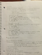 Biology week nine notes 