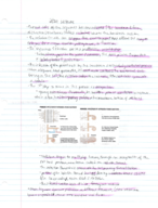Dr O'Quin Notes 2/29, 3/2