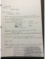 Study Guide for the Midterm