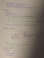 Week 10 Notes