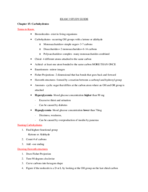 Chem Exam 3 study guide