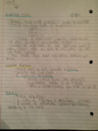 Social Work Notes 3/21/16
