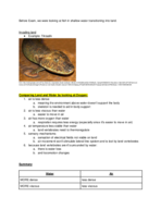 Exam 2 Study Guide 