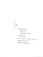 Exam Three: Lectures 15 to 21