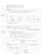 Organic Chemistry Exam 2 Study guide