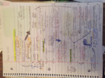 Psych 2220 Independent t test