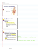 Exam 3 Material