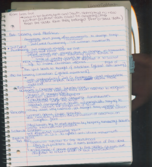 Hist. 161 Reform