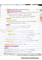 Advertising Exam 2 Study Guide