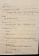 Bio 104