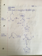 Organic II Week 9 Notes
