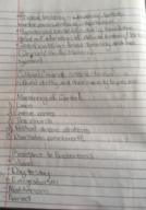 African American Studies