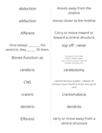 Medical Terminology Quiz 3
