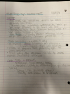 Social Work Notes 3/29/16