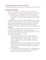Sociology Chapter 10 Study Guide