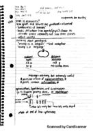 Econ 202 week 1 notes