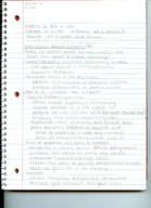Poli sci Lecture 3/29-3/31 Notes