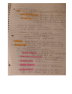 Chapter 9 Notes
