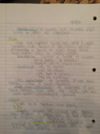 Intro to Sociology Notes 3/28/16 -3/30/16 