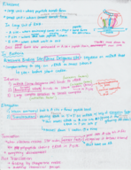 Test 4 Study Guide