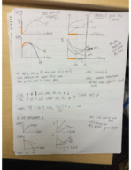 Final Exam Study Guide Intro to Microeconomics