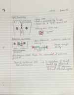 BIOL 23100 Week 15