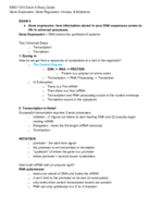 Exam4