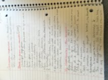 History 111 Overturning Segregation
