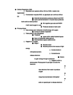 Biology 1 Notes 3/7-3/9