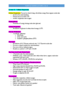 Lecture 11 and 12 Outlines