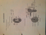 Clinical Physiology: Renal Physiology complete