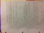Week Notes