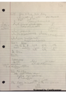 Organic Chemsitry 2 3/28