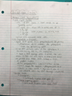 Bio 107, Exam 3 Study Guide