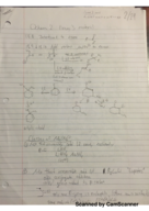 Organic Chemistry 2 Exam 3 Material
